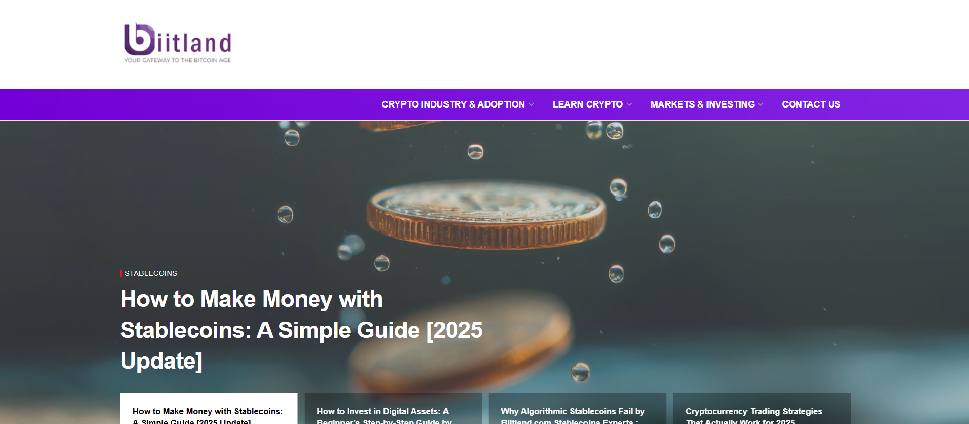 Biitland Review: susDE Stablecoin