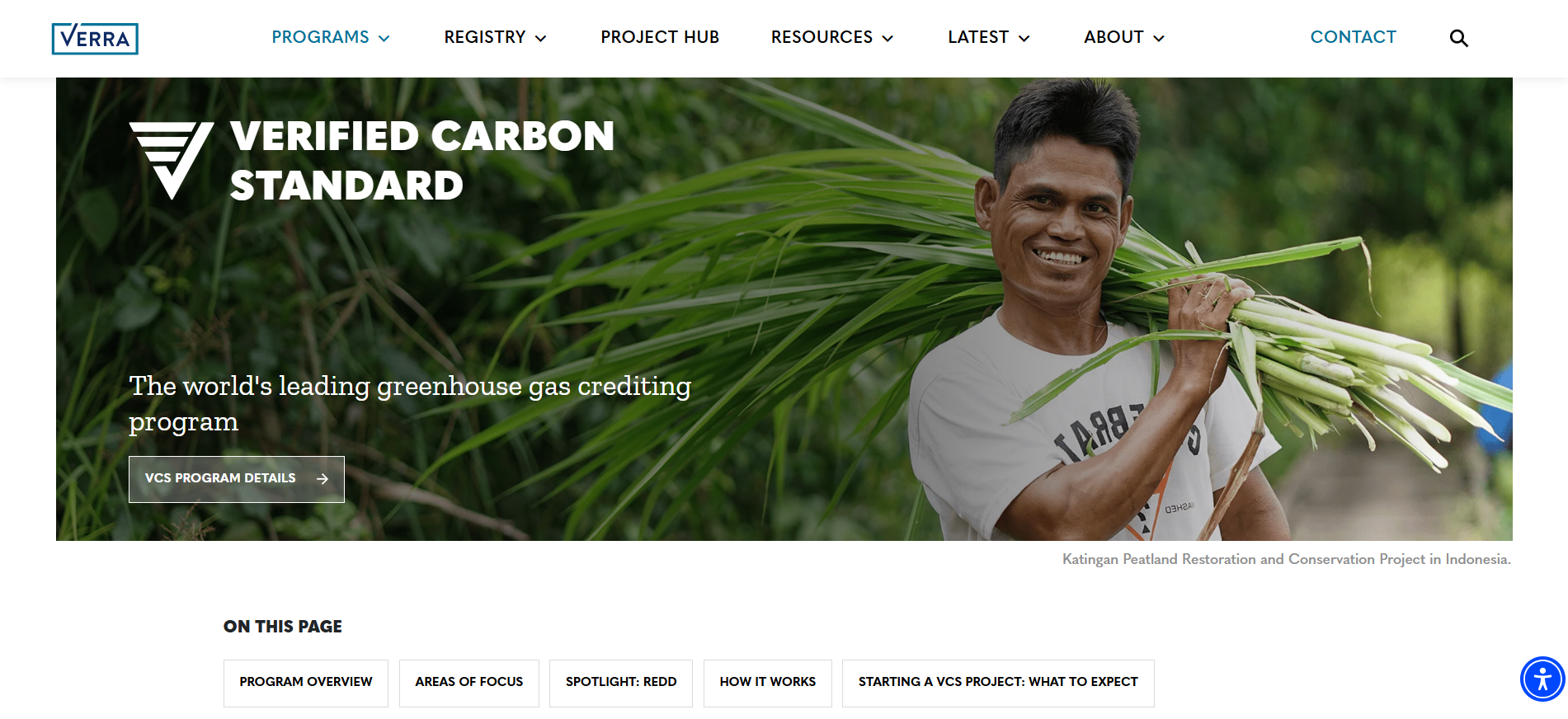 Stablecoins for Carbon Credits