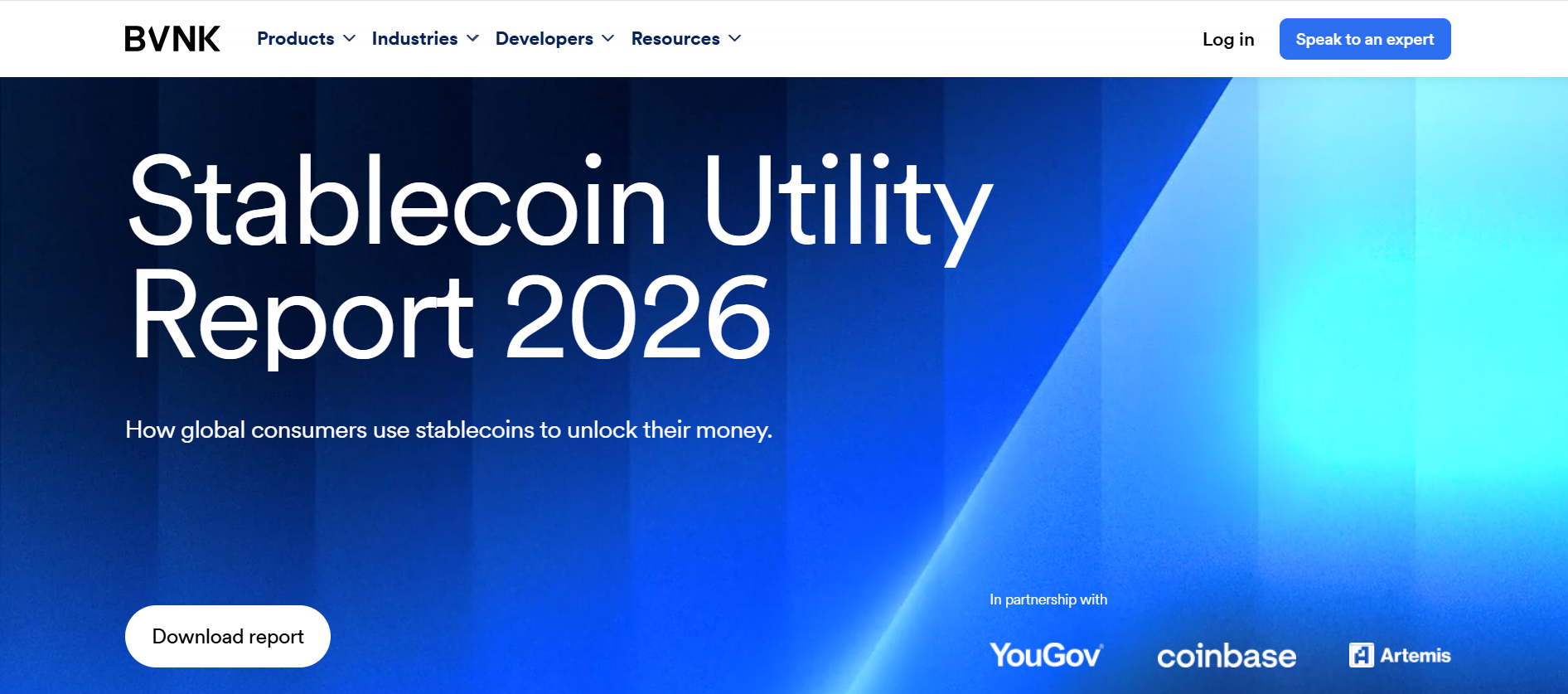 BVNK Stablecoin Utility Report 2026